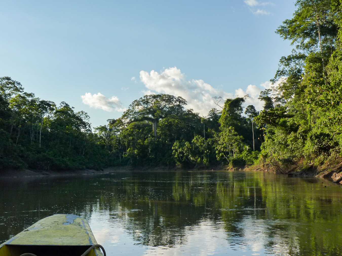 Curso de Cambio climático, bosques y REDD+ 