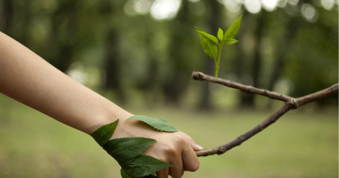 Adaptación al Cambio Climático