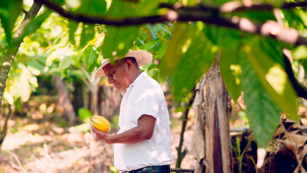 Módulo II: Situación Actual, Brechas y Potencialidades de la Bioeconomía en Ecuador